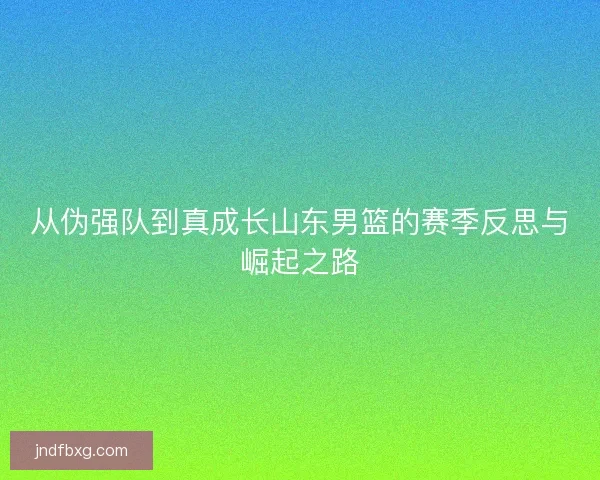 从伪强队到真成长山东男篮的赛季反思与崛起之路