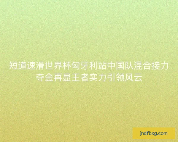 短道速滑世界杯匈牙利站中国队混合接力夺金再显王者实力引领风云